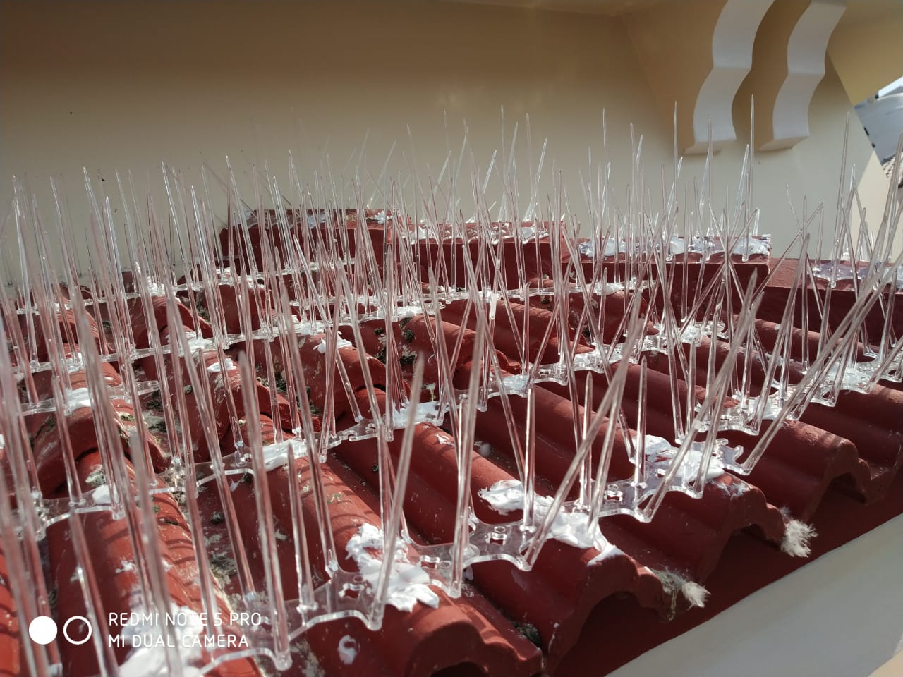 Custom Installation Safety Nets
