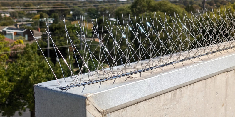 Bird Spikes